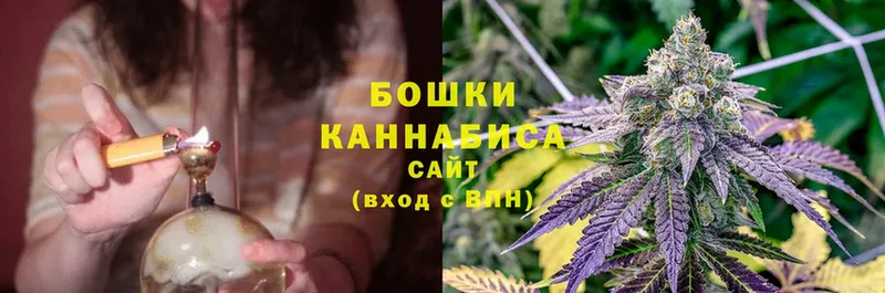 Конопля Bruce Banner  магазин продажи наркотиков  Ставрополь 